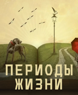 Периоды жизни