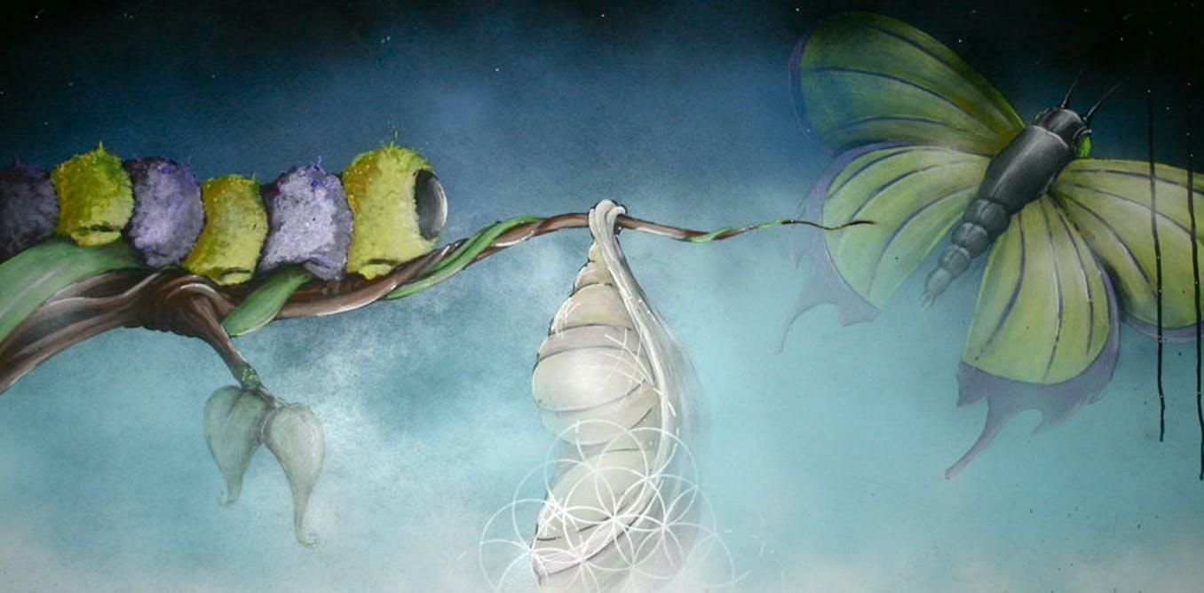 Амнистирование