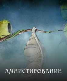 Амнистирование